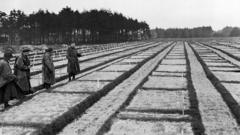 German Prosecutors Investigate 105-Year-Old for Nazi-Era Crimes