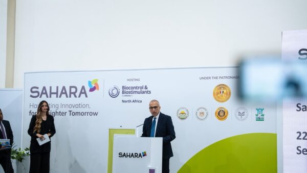 Egypt’s Agricultural Bank Boosts Financing by 25% in First Half of 2026
