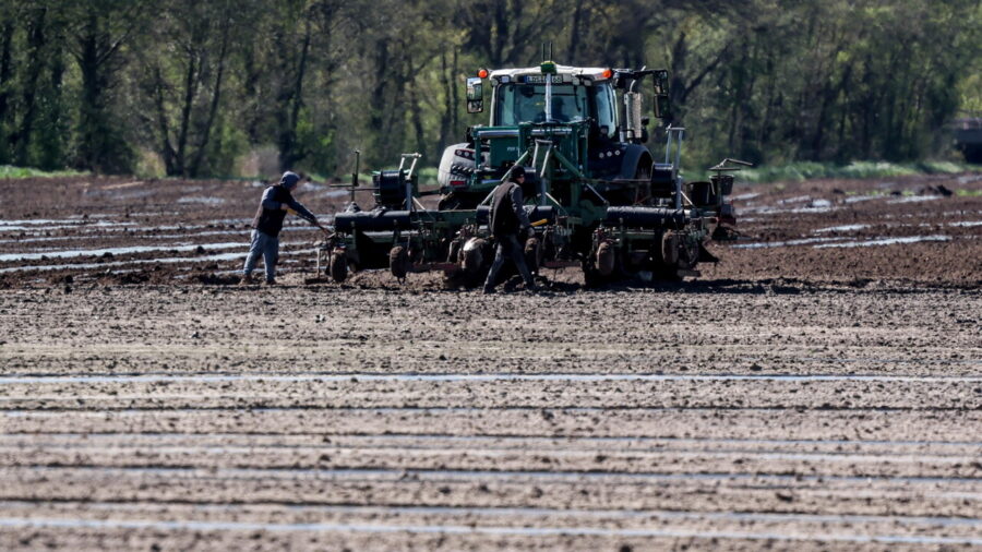 Italian Government Opens Application Window for Agricultural Diesel Bonus