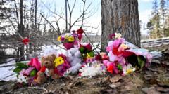 British Columbia Sues OpenAI Over Tumbler Ridge School Shooting