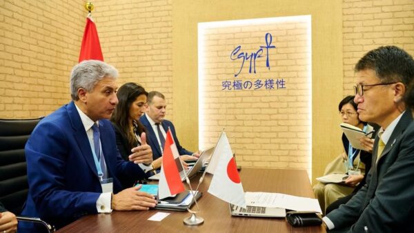 Egypt and Japan Seek to Boost Tourist Exchanges After Expo Meeting