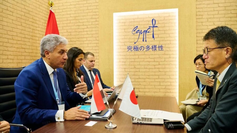 Egypt and Japan Seek to Boost Tourist Exchanges After Expo Meeting