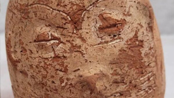 Ancient Mysteries Unveiled: Rare Rock-Cut Tombs Found in Egypt’s Delta