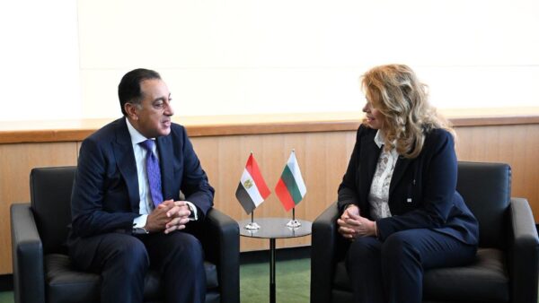Egypt Calls for Two-State Solution and UN Security Council Reform