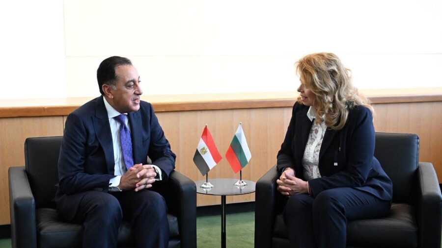 Egypt Calls for Two-State Solution and UN Security Council Reform