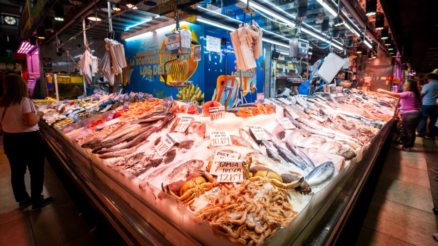 Consumers Cut Food Budgets, Shift to Legumes and Fewer Fish Purchases
