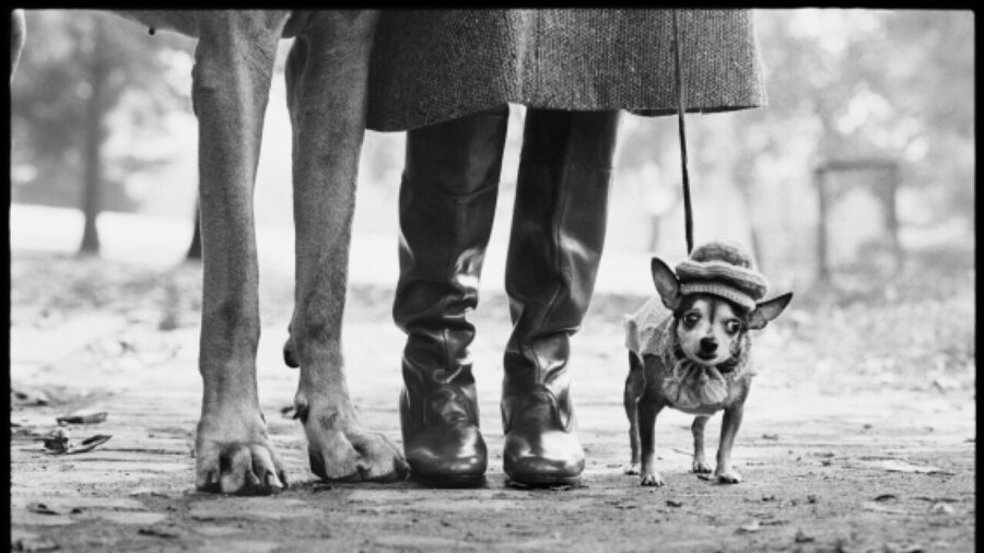 Elliott Erwitt’s Intimate “Art of Observing” Exhibition Opens in Bologna