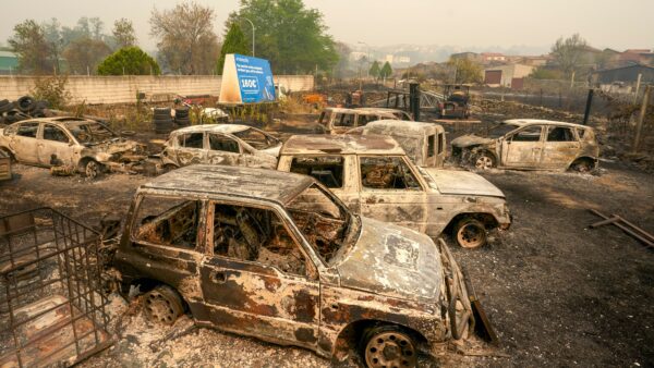 Europe’s Wildfire Season Exposes Low Insurance Coverage