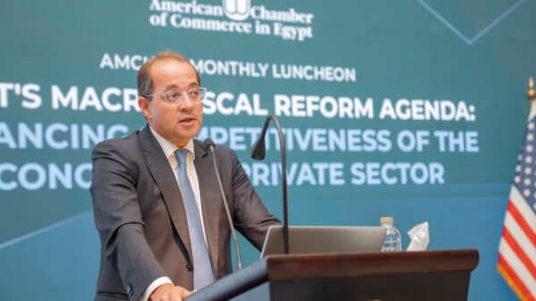Egypt Reports Private Sector Drives 63% of National Investment