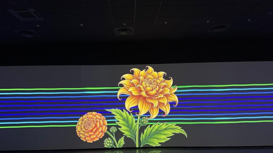 Immersive Cosenza Exhibit Brings Frida Kahlo to Life