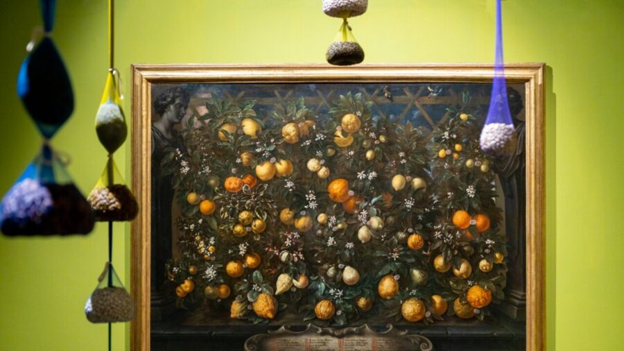 Bramante Cloister Exhibition Explores Intersection of Food and Art