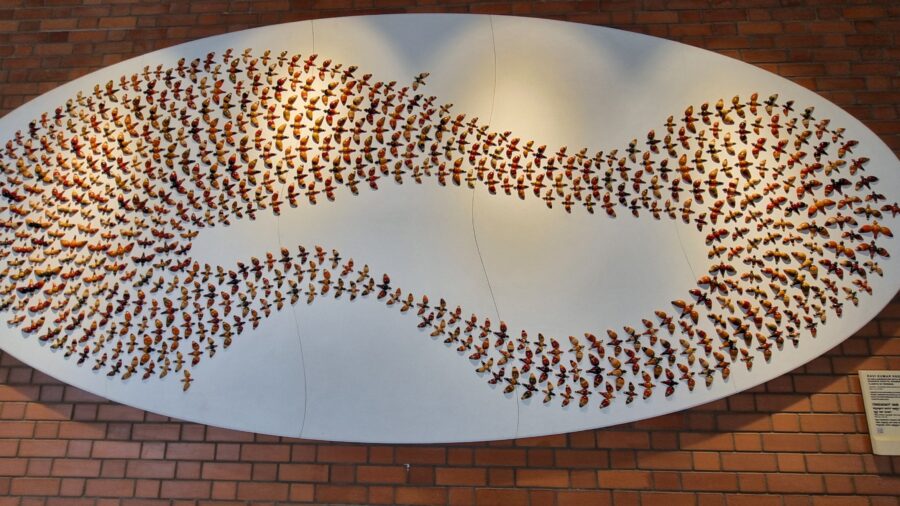 Bengaluru Airport Terminal 2 Recognized for Integrating Local Art