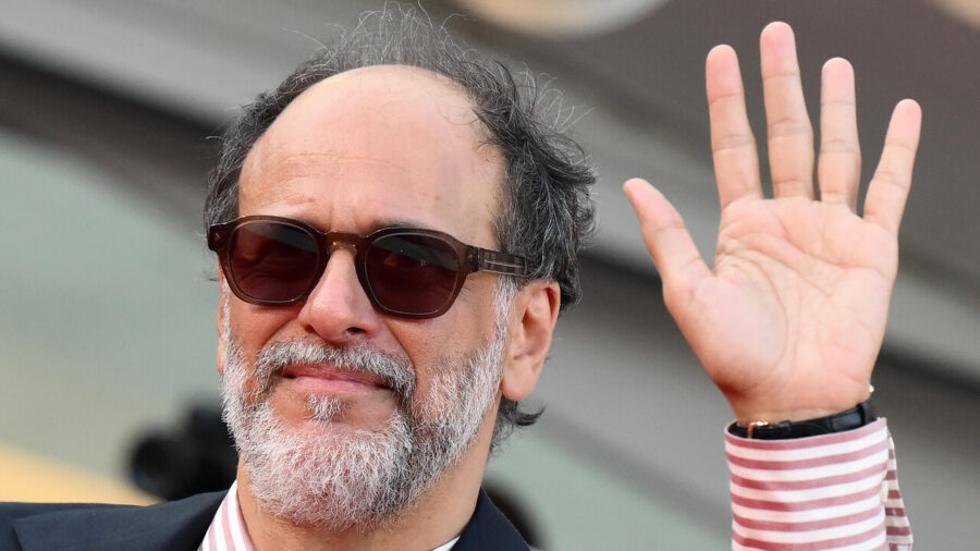 Luca Guadagnino Receives Standing Ovation at NY Film Festival