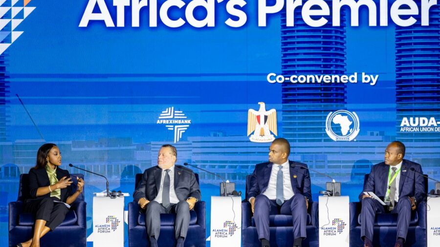 Egypt Central Bank Governor Urges Stronger African Financial Ties