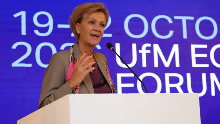 Cairo Hosts Union for the Mediterranean Economic Forum