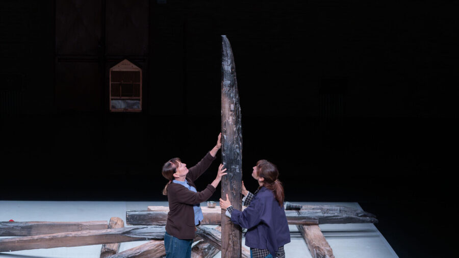 Director Deflorian Adapts Nobel Laureate Han Kang’s Novel for Italian Stage