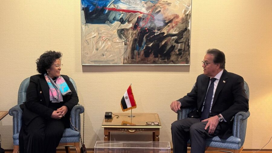 Egypt Partners with African Union to Boost Local Medicine Production