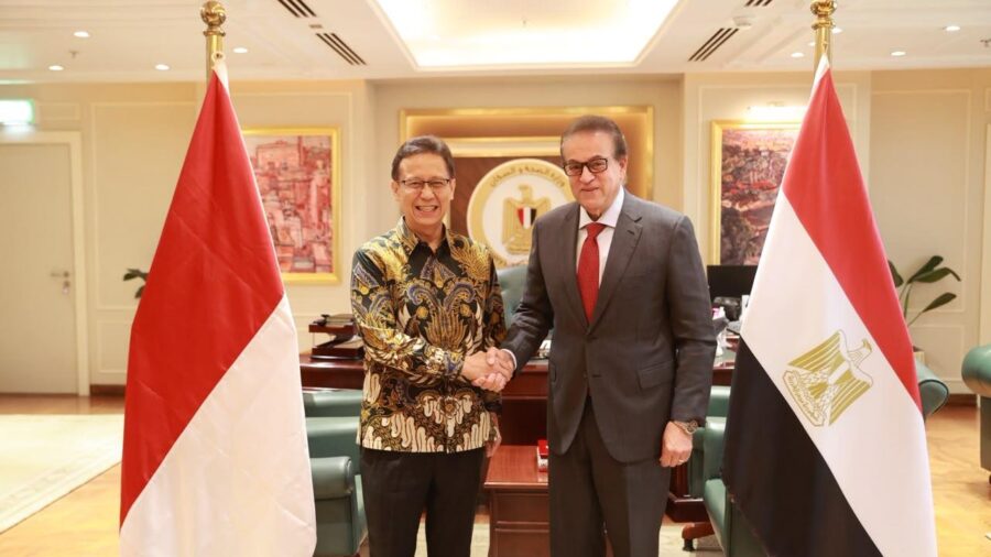 Egypt and Indonesia Discuss Health Financing and Procurement Cooperation