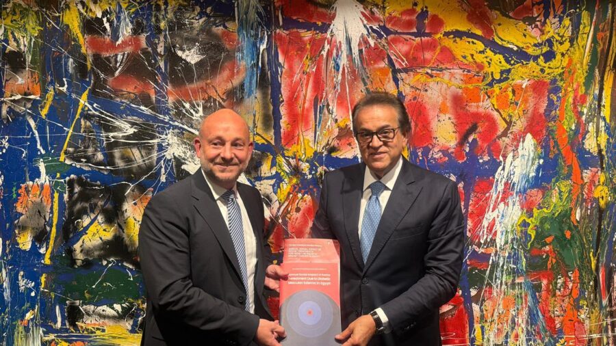 Egypt Discusses Health Economics Research Expansion with WifOR and Roche