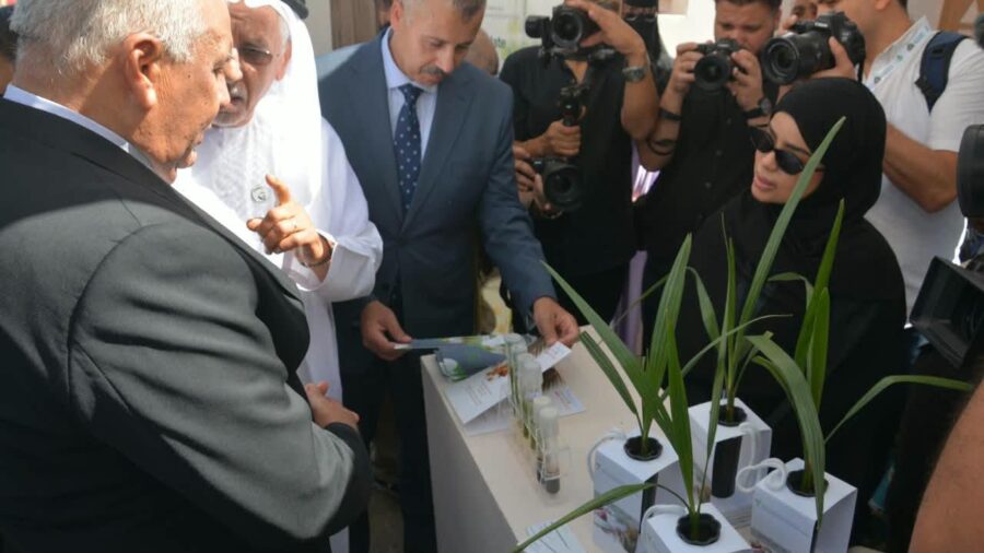 Egypt Targets Export Growth at 9th International Dates Festival