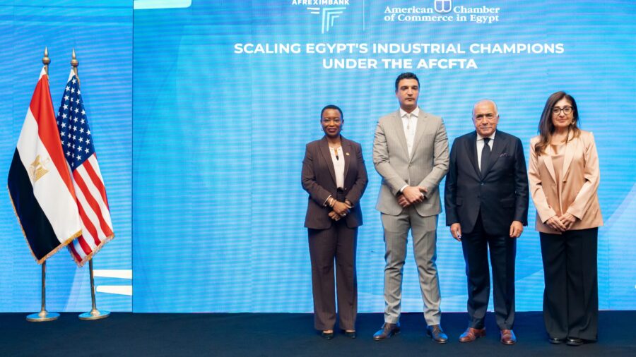 Egypt Targets Increased Exports to African Markets