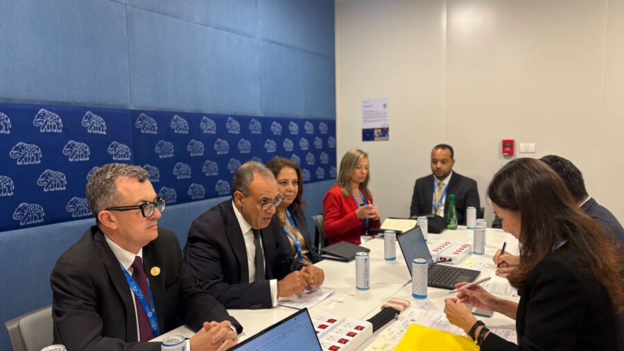 Egypt Pitches Infrastructure Guarantee Facility to JICA to Boost Investment