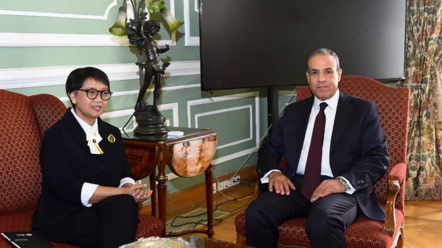 Egypt Foreign Minister Discusses Water Security and Development Financing