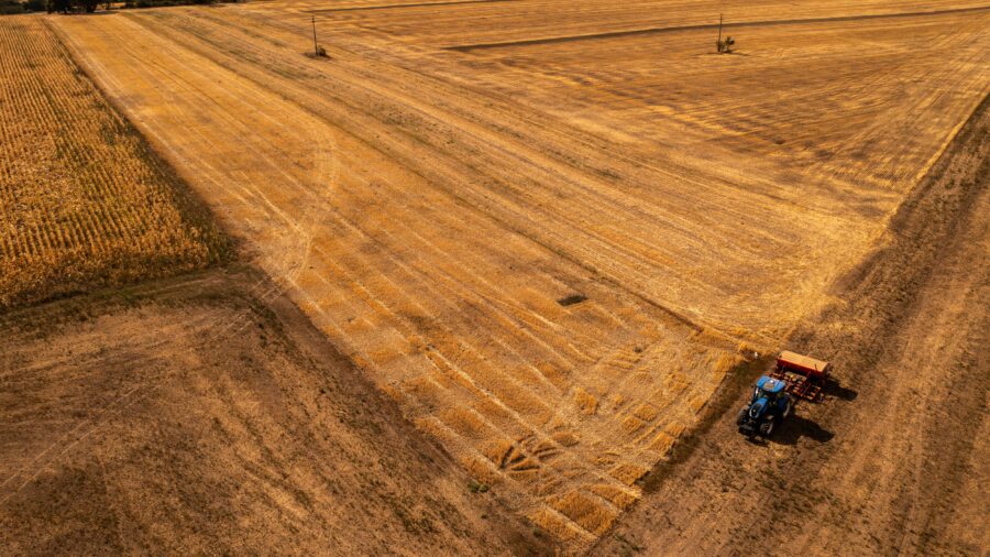 Severe Drought Devastates Romanian Corn Harvest