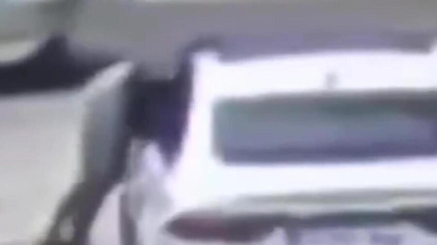 Owner’s Social Media Appeal Leads to Rapid Recovery of Stolen Car in Egypt