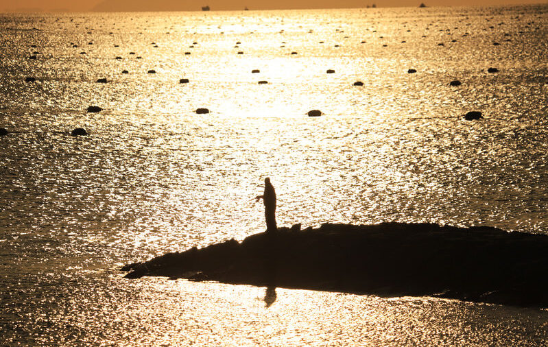 Fishing Information Site in Susaki, Japan, Shut Down After Data Leak Affects Three Users