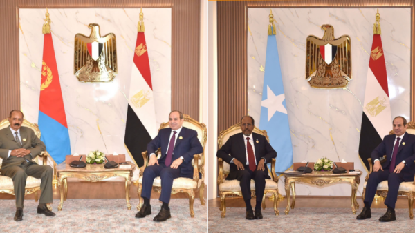 Egypt Strengthens Ties with Somalia and Eritrea