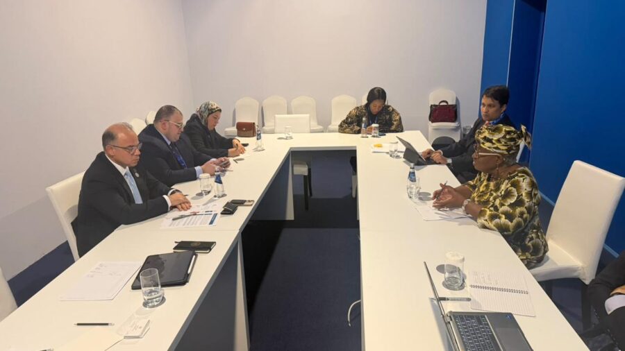 Egypt and WTO Discuss Strategies to Expand Export Access