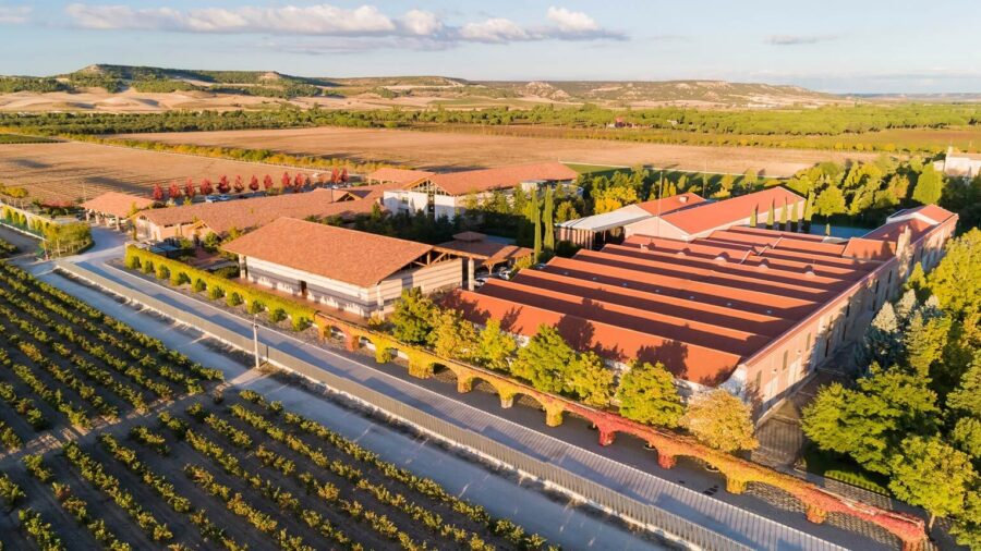 Vega Sicilia Owner Reports Decline in Revenue and Profit for 2025