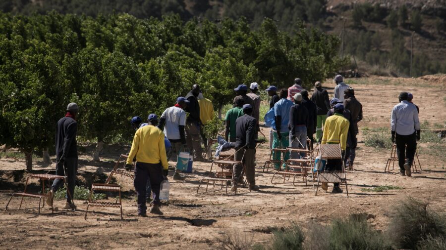 Global Migration Numbers Double Since 1990, Report Finds