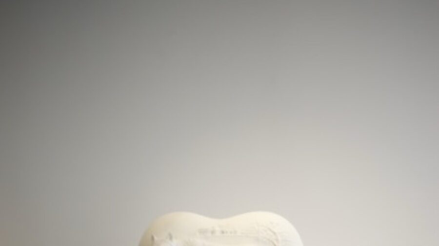 Lorenzo Quinn Returns to Rome with Solo Exhibition at Teldil Gallery