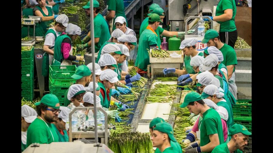 European Nations Prepare Minimum Wage Hikes to Counter Rising Inflation