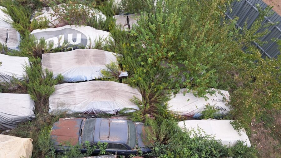 Provincial Police Seize 230 Vintage Cars in Volla