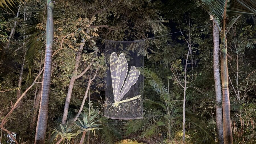 Italian Embassy in Kenya Unveils Sustainable Art Tribute to St. Francis