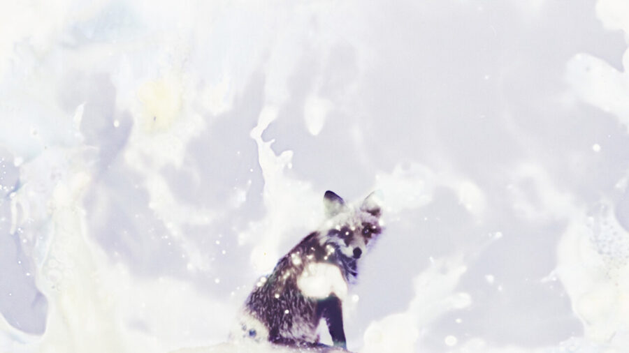 Tamaki Yoshida Photography Exhibition Unfolding Opens in Pordenone