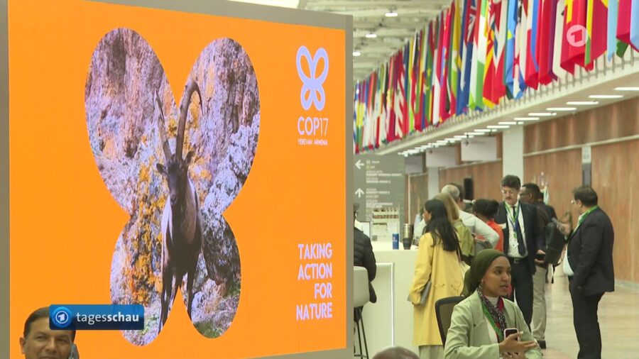 Global Nature Protection Talks Convene in Yerevan