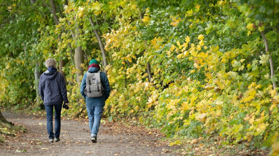 Studies Link Regular Walking to Improved Mental Health and Social Connection